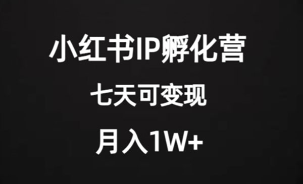 《小红书IP孵化营项目》超级大蓝海，七天即可开始变现，稳定月入1W+_wwz